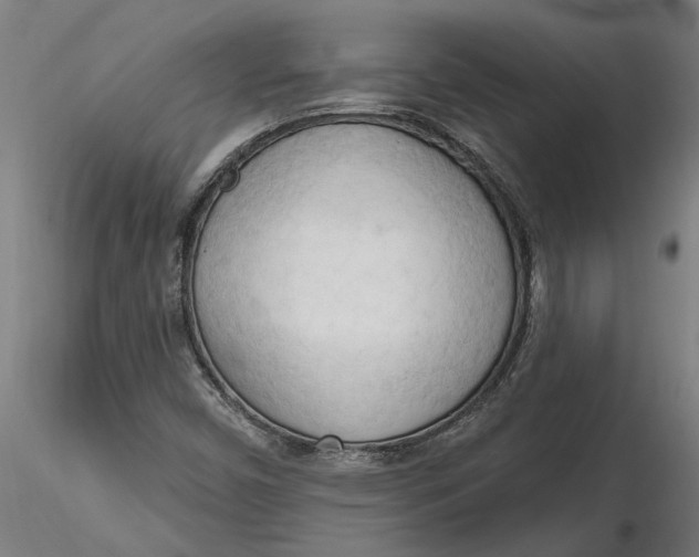 X0000116321450200912221349