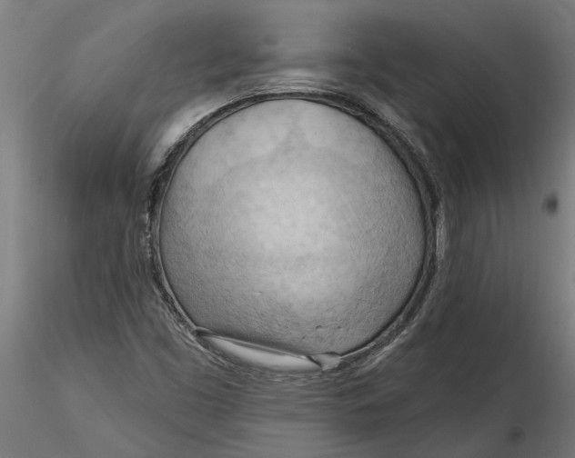 X0000116321453200912221349