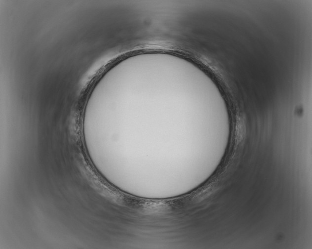 X0000116321454200912221349