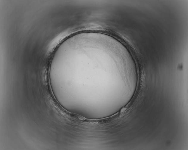 X0000116321455200912221349