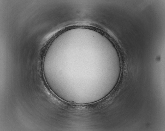 X0000116321456200912221349