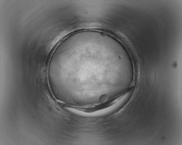 X0000116321457200912221349