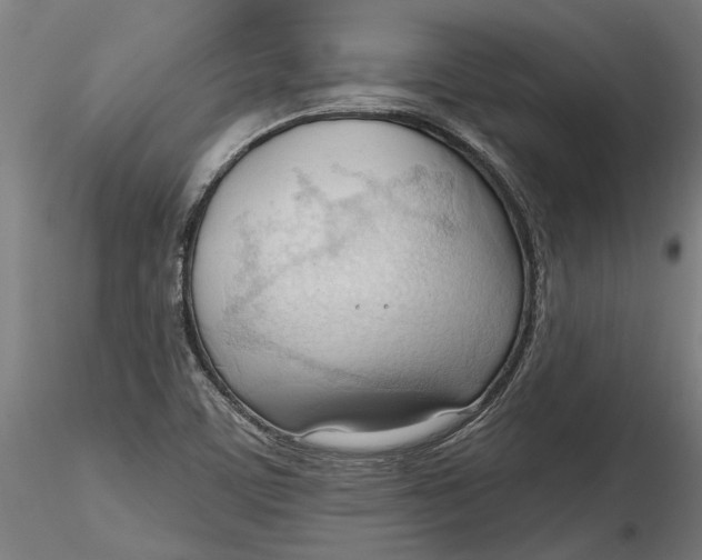 X0000116321459200912221349