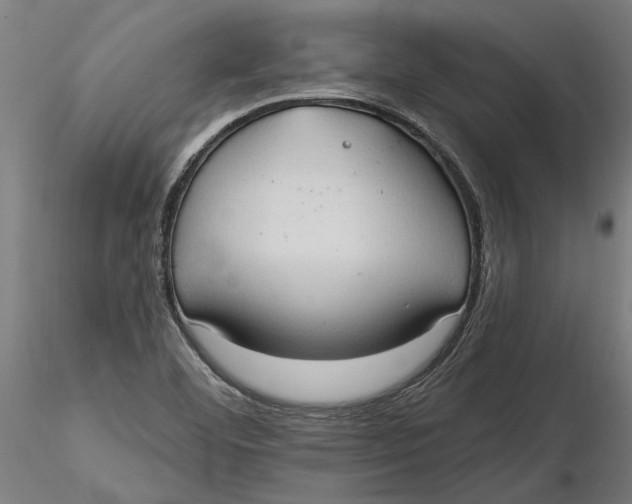 X0000116321460200912221349