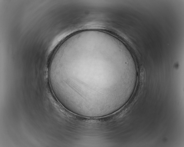 X0000116321461200912221349