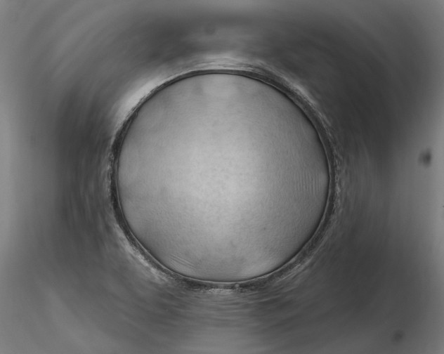 X0000116321463200912221349