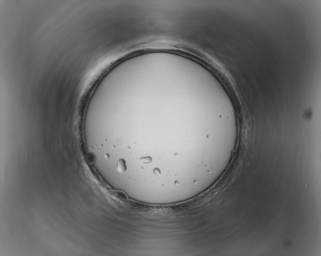 X0000116321464200912221349