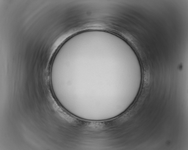 X0000116321466200912221349