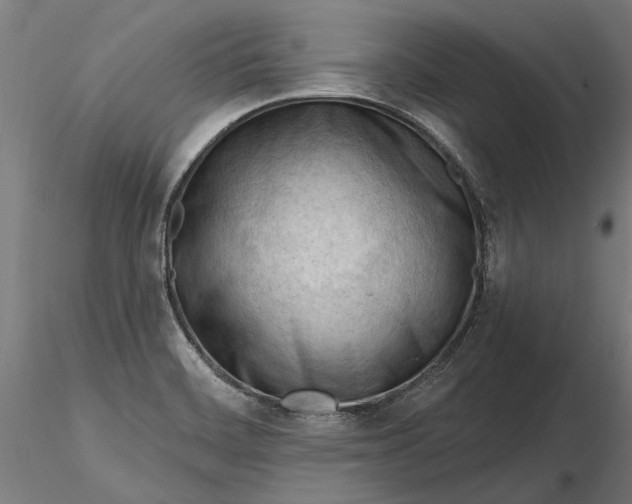 X0000116321468200912221349