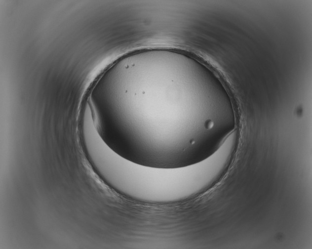 X0000116321469200912221349