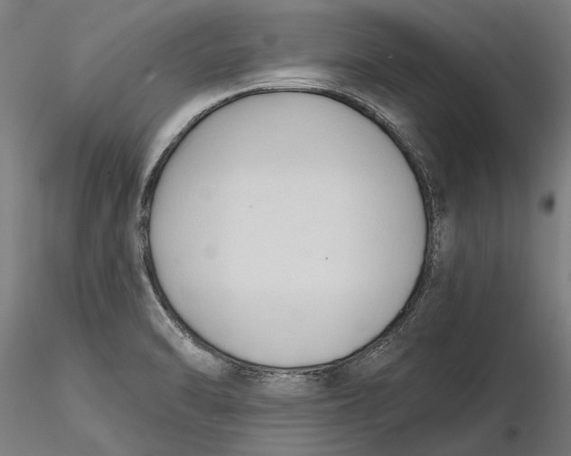 X0000116321470200912221349