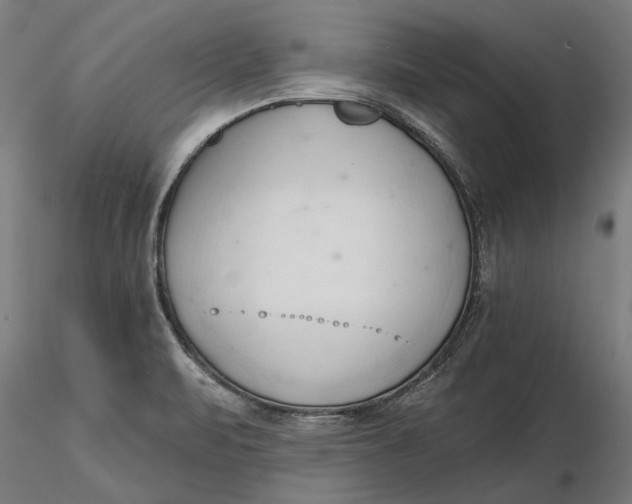 X0000116321471200912221348