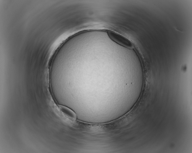 X0000116321472200912221348