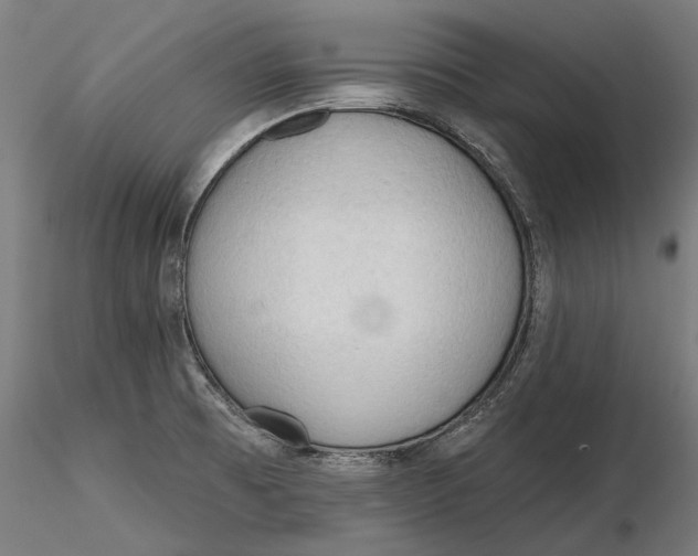 X0000116321473200912221348