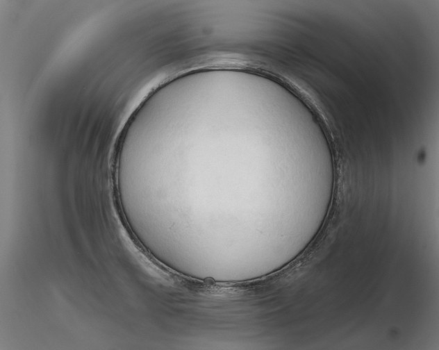 X0000116321475200912221348