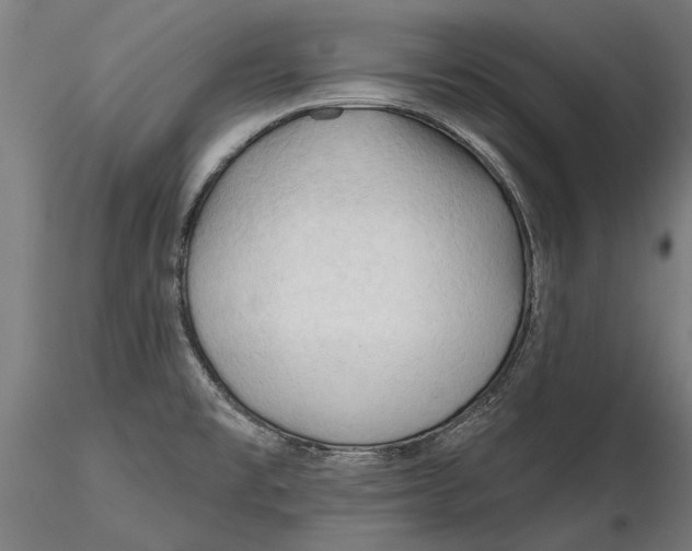 X0000116321477200912221348