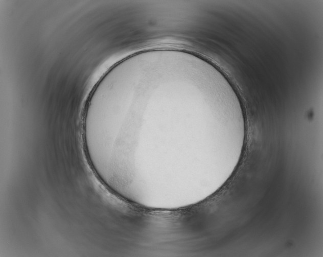 X0000116321478200912221348