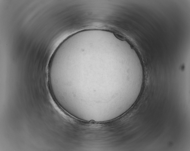 X0000116321479200912221348