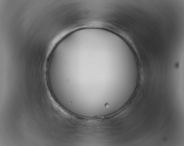 X0000116321480200912221348