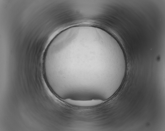 X0000116321483200912221348