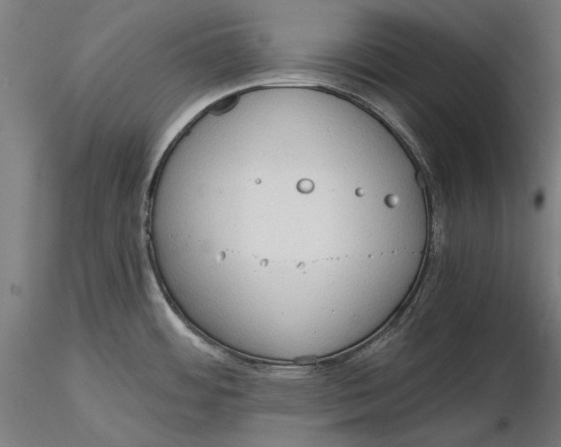 X0000116321484200912221348