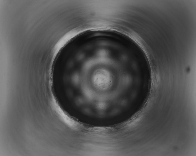 X0000116321485200912221348