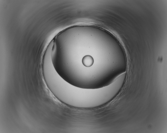 X0000116321488200912221348