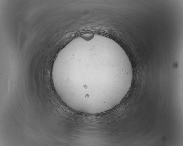 X0000116321489200912221348