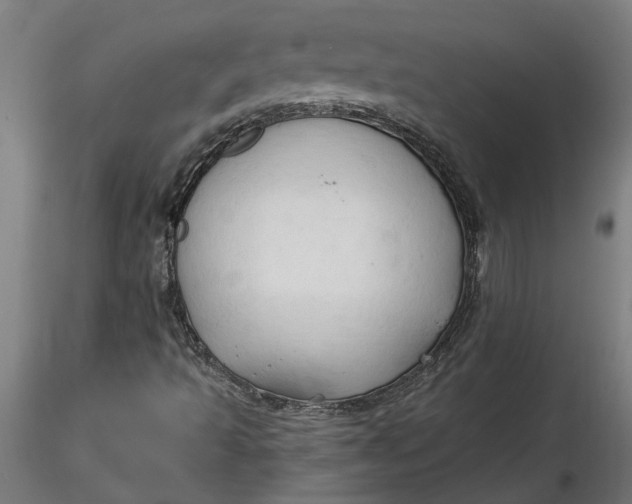 X0000116321493200912221348