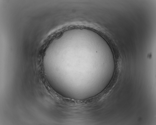 X0000116321494200912221348