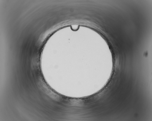 X0000116321498200912221348