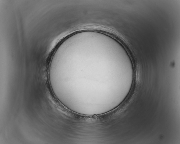 X0000116321501200912221348