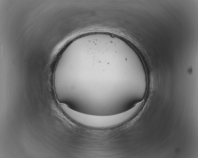 X0000116321502200912221348