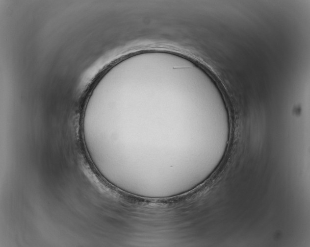 X0000116321503200912221348