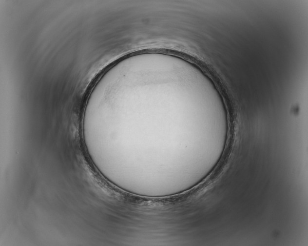 X0000116321505200912221348