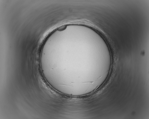 X0000116321506200912221348