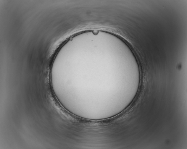 X0000116321507200912221348