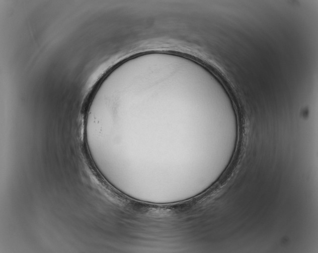 X0000116321509200912221348