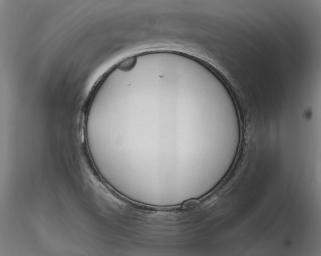 X0000116321510200912221348