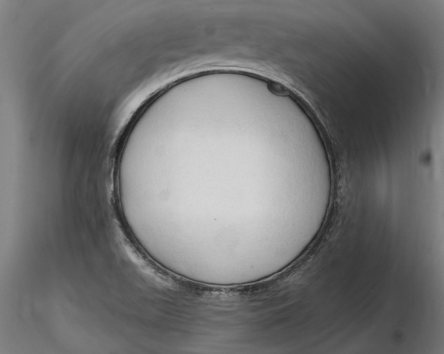 X0000116321511200912221348