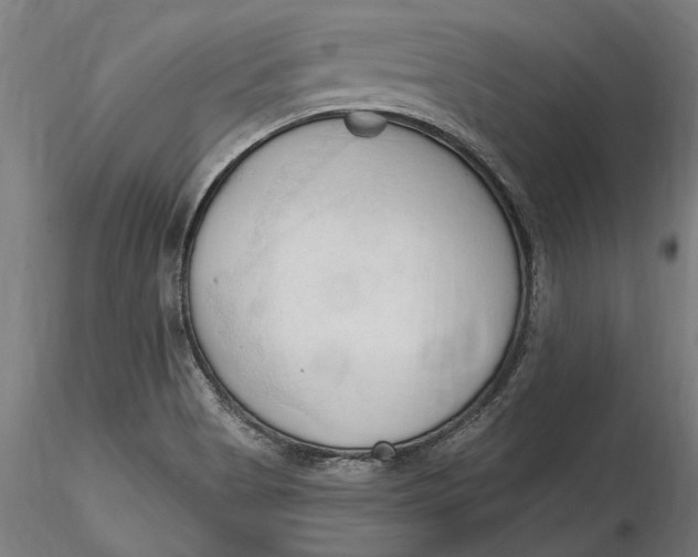 X0000116321513200912221348