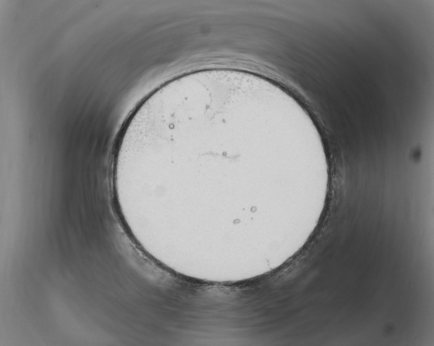 X0000116321514200912221348