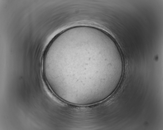 X0000116321515200912221348