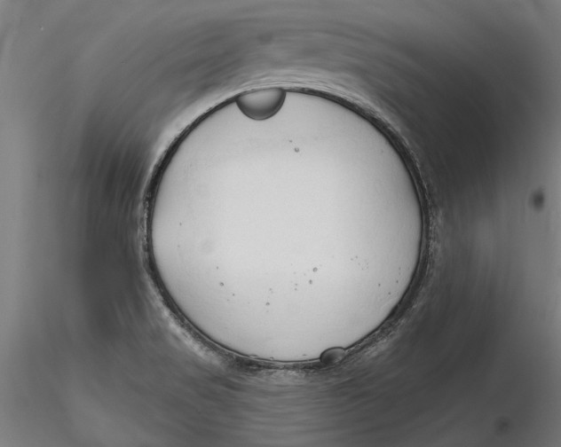 X0000116321517200912221348