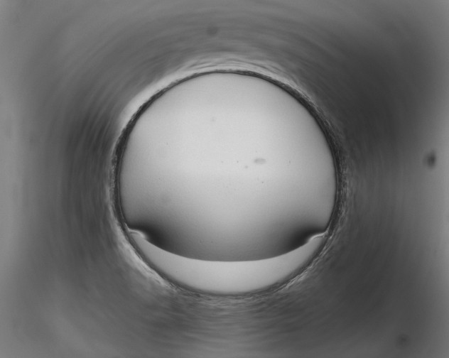 X0000116321518200912221348