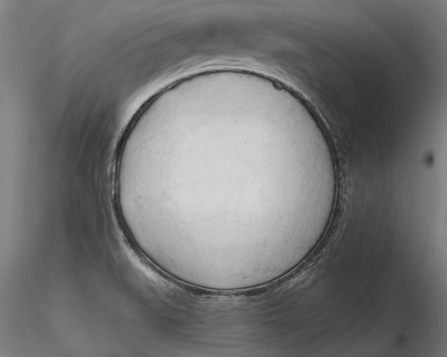 X0000116321519200912221348