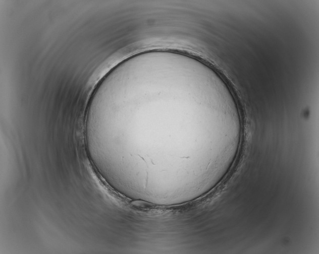 X0000116321521200912221348