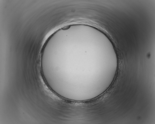 X0000116321522200912221348