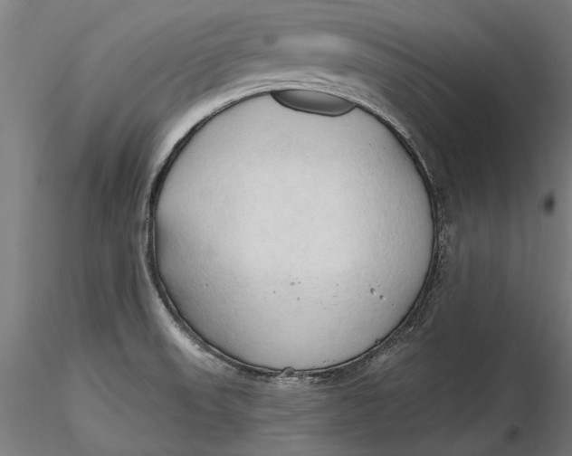 X0000116321523200912221348