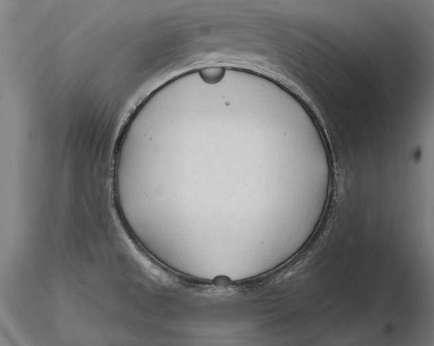 X0000116321525200912221348